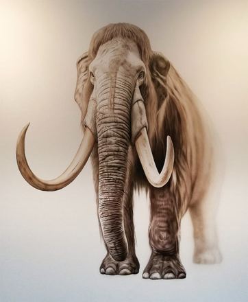 Airbrush-Malerei: Mammut, fotorealistisch