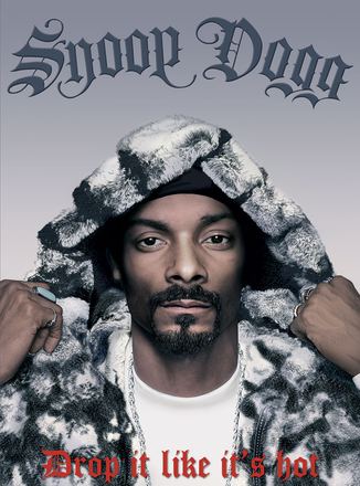 DVD-Cover-Illustration: Snoop Dogg