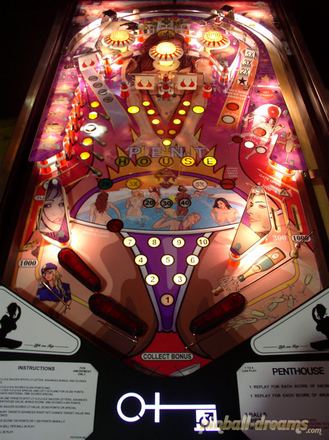Flipper-Spielfeld, Gesamtansicht