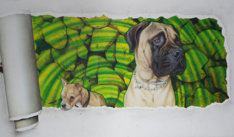 Wandmalerei in Hundepension, Airbrush auf Putz Wandmalerei, Airbrush auf Putz