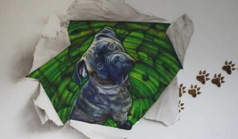 Wandmalerei in Hundepension, Airbrush auf Putz Wandmalerei, Airbrush auf Putz