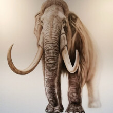 Wandbemalung Airbrush